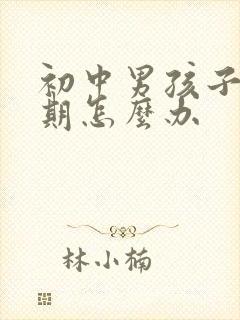 初中男孩子叛逆期怎么办