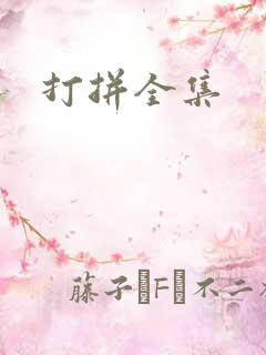 打拼全集