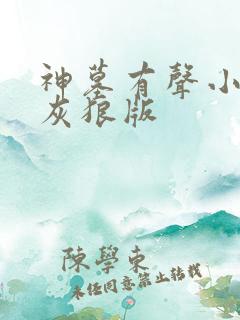神墓有声小说大灰狼版