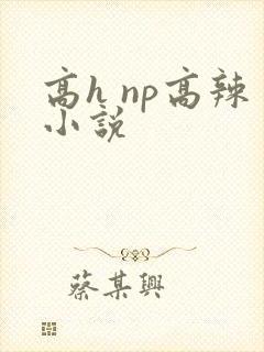 高h np高辣小说