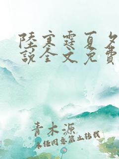 陆寒霆夏夕绾小说全文免费阅读