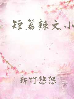 短篇辣文小说网