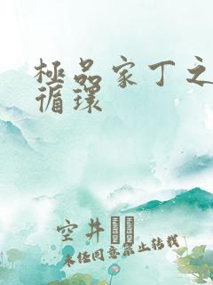 极品家丁之因果循环