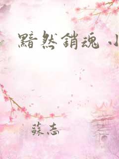 黯然销魂 小说