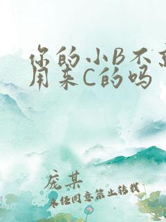 你的小B不就是用来C的吗