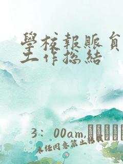 学校报账员个人工作总结