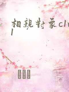 相亲对象c1v1