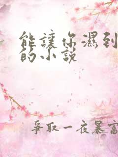 能让你湿到不行的小说