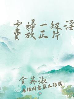 少妇一级淫片免费放正片