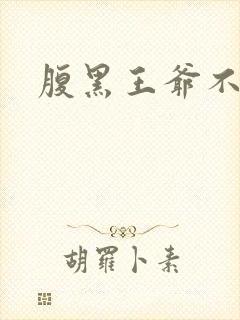 腹黑王爷不良妻