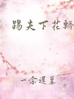 踢夫下花轿