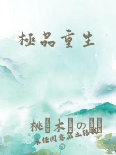 极品重生
