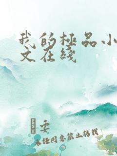 我的极品小姨全文在线