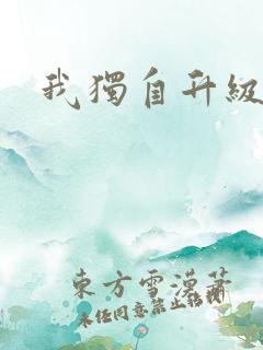 我独自升级小说