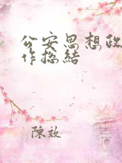 公安思想政治工作总结