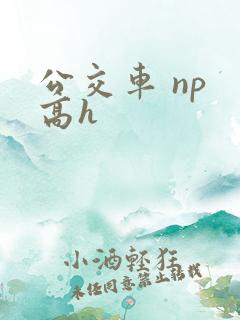 公交车 np 高h