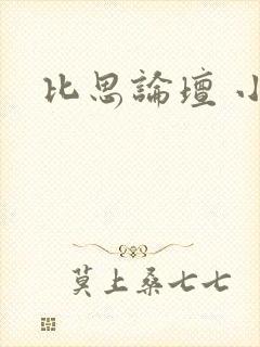 比思论坛 小说