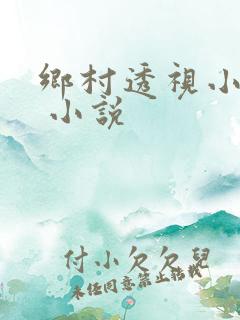 乡村透视小仙医 小说