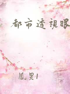 都市透视眼