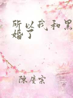 所以我和黑粉结婚了