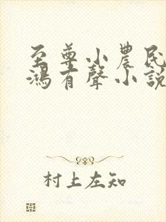 至尊小农民柴少鸿有声小说