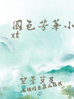 国色芳华小说txt