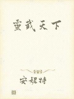 灵武天下