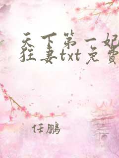 天下第一妃神医狂妻txt免费下载