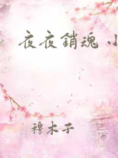 夜夜销魂 小说