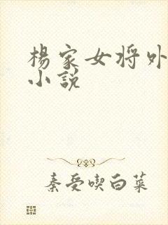 杨家女将外传的小说