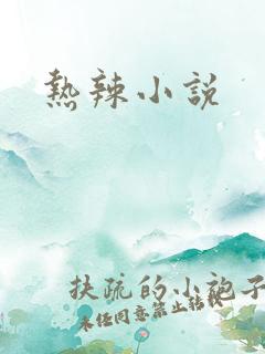 热辣小说