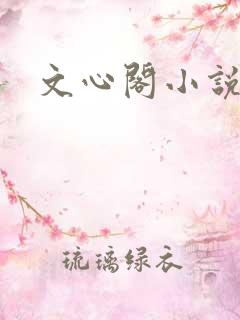 文心阁小说