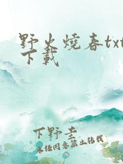 野火烧春txt下载