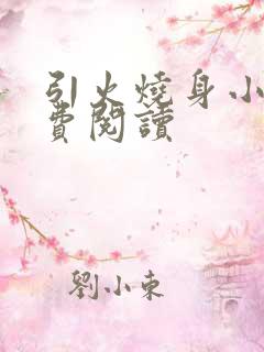 引火烧身小说免费阅读