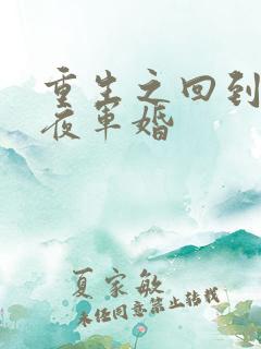 重生之回到新婚夜军婚