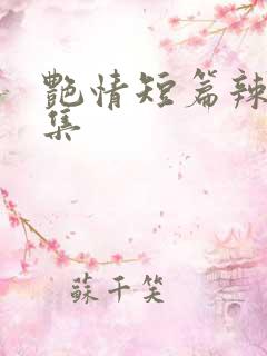 艳情短篇辣文合集