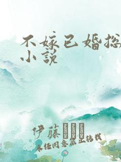 不嫁已婚总裁的小说