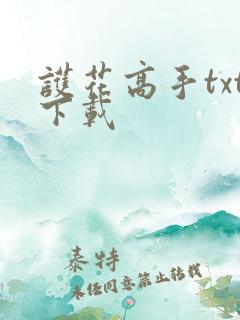 护花高手txt下载