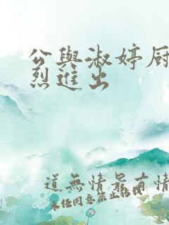 公与淑婷厨房猛烈进出