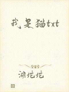 我是猫txt