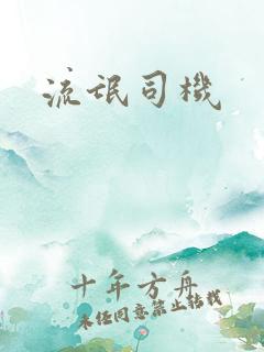 流氓司机