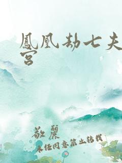 凤凰劫七夫乱后宫