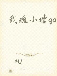 武魂小坏ga