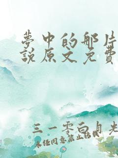 梦中的那片海小说原文免费阅读
