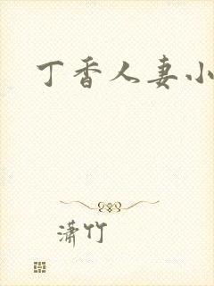 丁香人妻小说