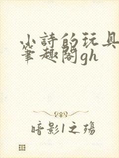 小诗的玩具日记笔趣阁gh