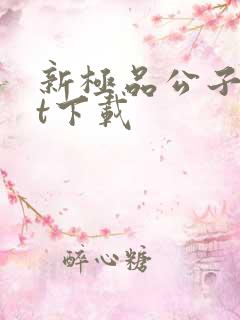 新极品公子txt下载