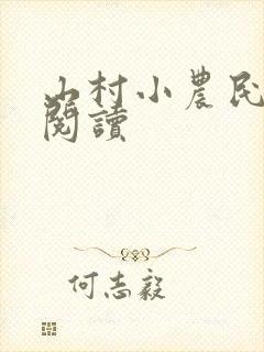 山村小农民小说阅读