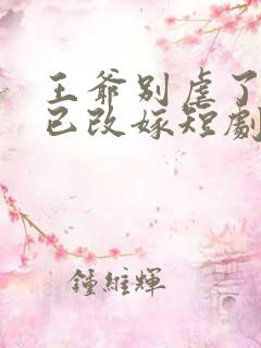 王爷别虐了王妃已改嫁短剧免费观看