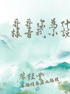 哥哥你为什么这样看我小说在线阅读